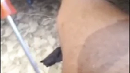Bir tornavida ile üretramı sondaj