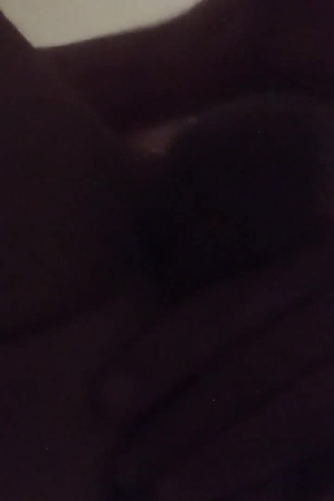 懶洋洋地向上視角撫摸