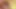 Tante seksi ini dientot habis-habisan sampai dicrot di dalam!