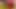 MAY 2019 updates at Dirtygardengirl - anal extreme destructi