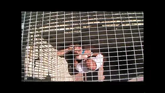 Afedersiniz all'italiana 2 - (orijinal tam film kesilmemiş)