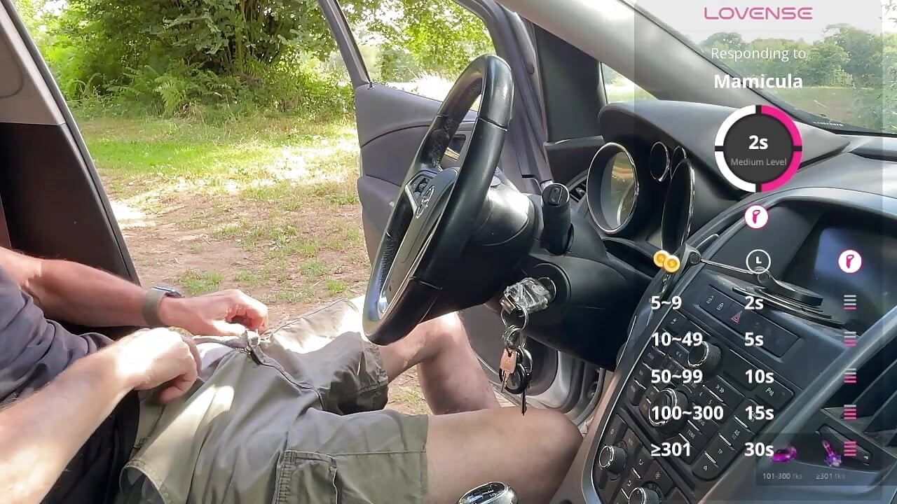 A Sunny Car Encounter