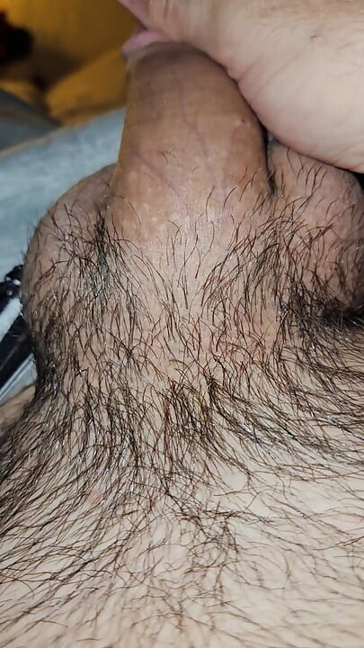Cock Inspection