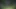 Naruto - Kunoichi Trainer (Dinaki) Part 55 Sex With Ten Ten In The Forest By LoveSkySan69