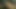 BBC Cumshot Compilation