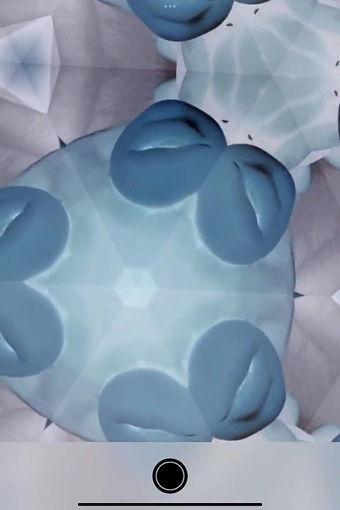 Inverted Kaleidocum