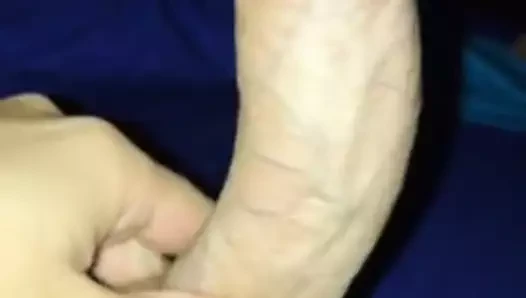 beyaz büyük horoz