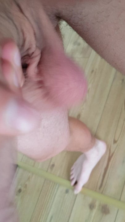 Penis