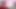 Hollandalı dörtlü seks - kıskanma: Ivey Passion ve Miss P (Hollanda) - sexybuurvrouw