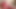 Blonde Bombshell Butt Plug Fuck! Hot 69 Session!