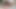 First Class Blowjob, BBW, Dicke Titten, Flugbegleiterin Lutscht Dich