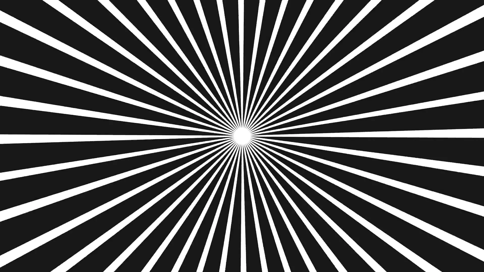 Sensory Hijacking - die Welt durch schwanz neu geframet (interaktiv)