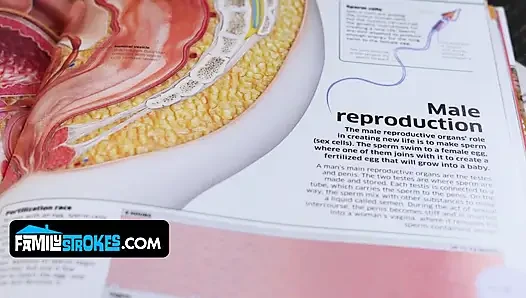 Adik tiri kutu buku evie christian mempelajari sistem reproduksi saudara tiri austin - langsung