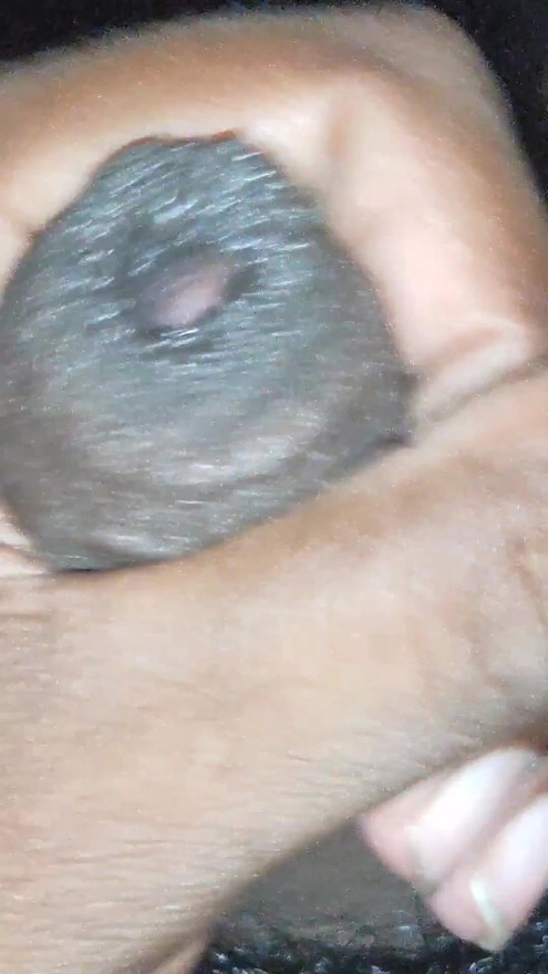 Indian boy sunny | Clip 1