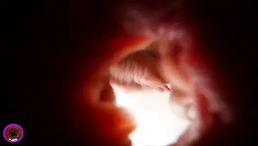 Великаншка Cirilla - Карман киски