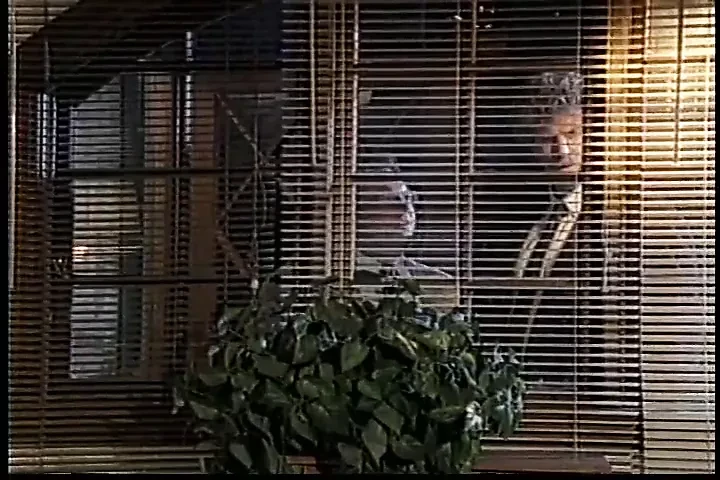 伴侣被激起 2 (1995) 整部电影