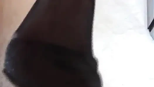 Nyllady cosplay si majikan dengan stoking nilon