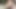 飽くなきウサギがアナルセックスの中出しを懇願する―最高のXXXだ!