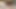 Sensual blowjob for Stepdaddy for more allowance