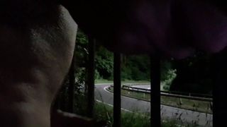 Orgasm on roadside