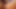 Porn game with animated 3D sexy girls in the wild 2022