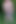 Eine freundin im park ausgezogen und pissend inszeniert