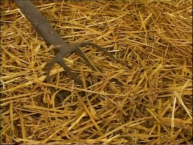 Fat farmer woman banged in a barn by a horny guy
