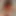 Asyalı Futanari Cumshotları