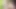 Young Boy caught Step-Mom Masturbation and helps with Fuck