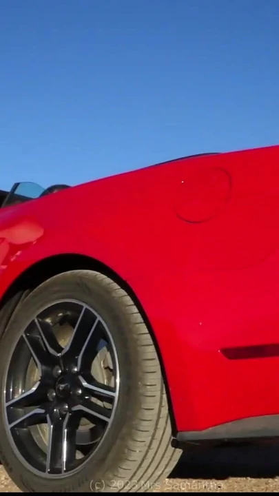 Epic moment from "Desert Mustang Lady Playing, Mrs Samantha and her Red Mustang"