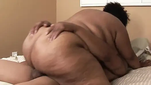 Ebenholz-lust verschlingt schwarze hengste kraft