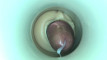 Pratinjau video