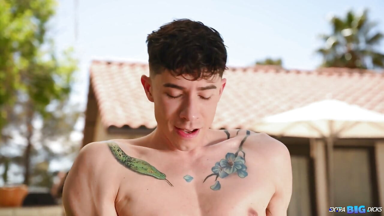 Extra Big Dicks - Dickstractions