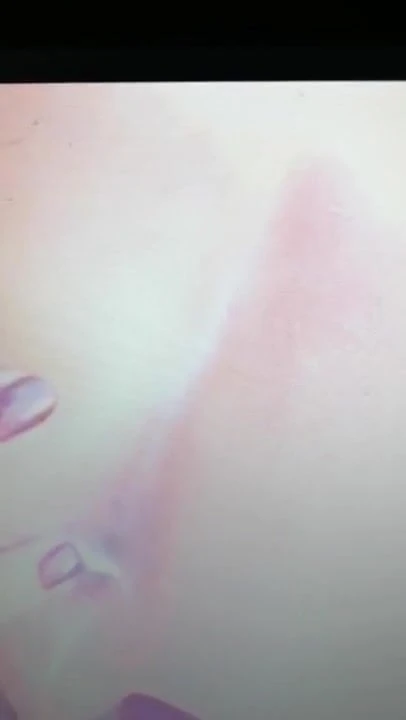 Cum inside my ass. So good