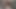 ダイヤショー1