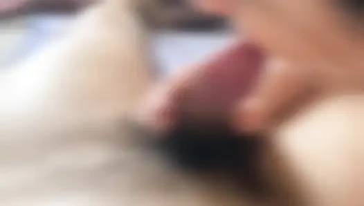 Fellatio koleksiyonu