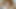 Big titty amateur redhead BBW Effie Rose loves to suck