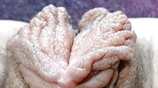 Lunaxscorpia coño bombeado