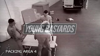 Young Bastards