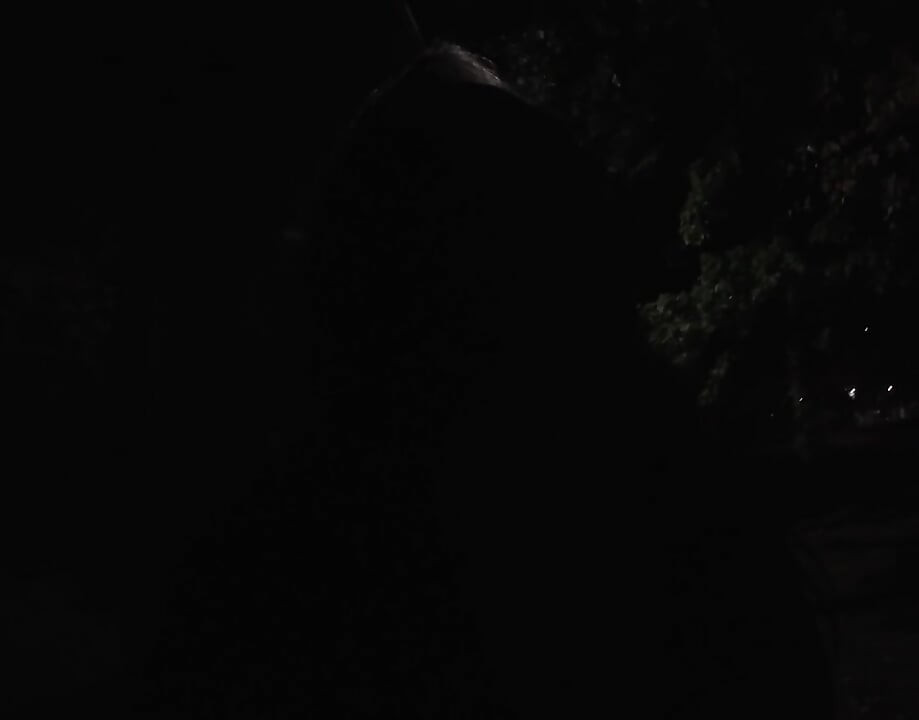 Transvestite Sissy whore is out and about at night .