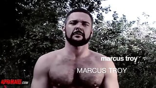 Alphamales - Big gay daddies