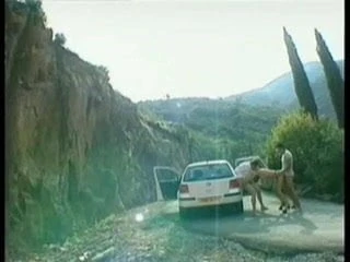 Autostop