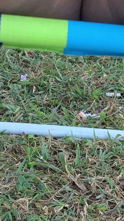My panties | Clip 1