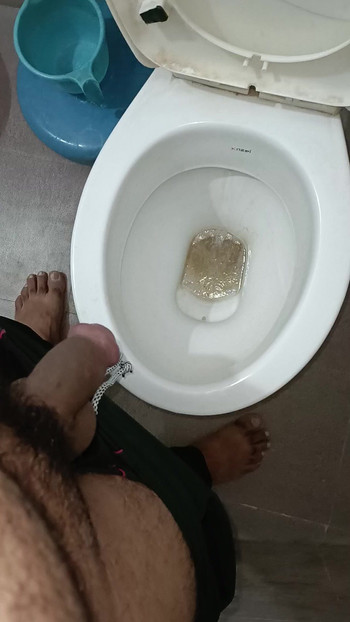 Panis, casa, orinar en el baño por la mañana