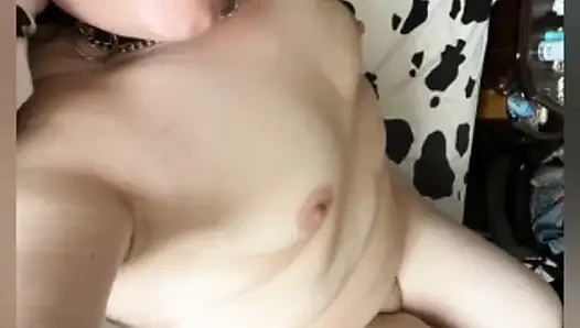 The fat cat compilation