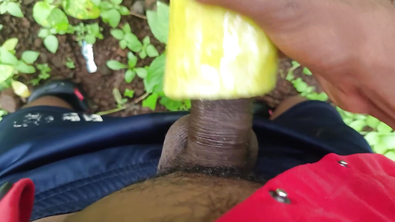 Desi Crna Zemlja