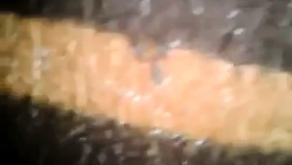 boşalma