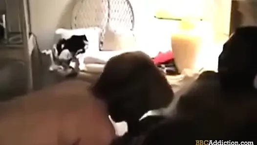 BBC Addiction - 100 Amateur and Home Made Porn Videos. MILFs Addicted to BBC and Interracial Banging.