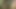 ニューハーフジャークオフcumpilation 2