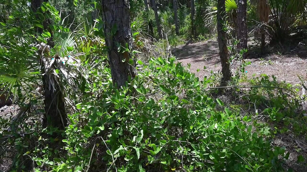 Bts Nature Walk e Masturbação na Trilha